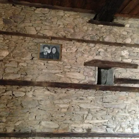 Guest house Ristevata Kovacevica