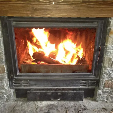 Ristevata Kovacevica