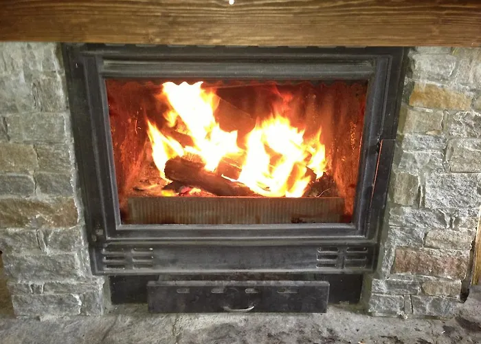 Ristevata Kovacevica